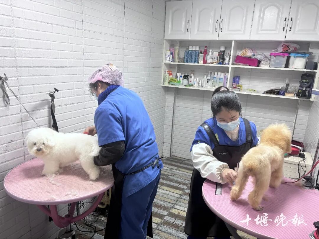 需求激增 十堰多家店铺：2月1日开始涨价